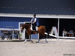 _DSC9294-701